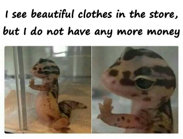 I see beautiful clothes in the store, but I do not have any