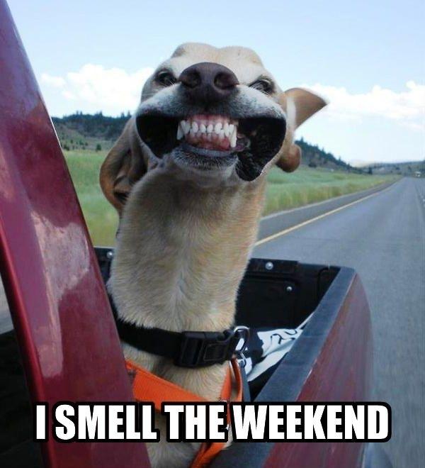 I smell the weekend