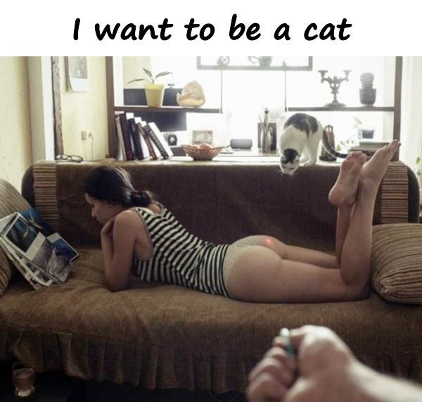 I want to be a cat