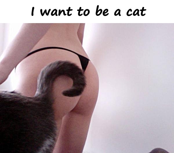 I want to be a cat