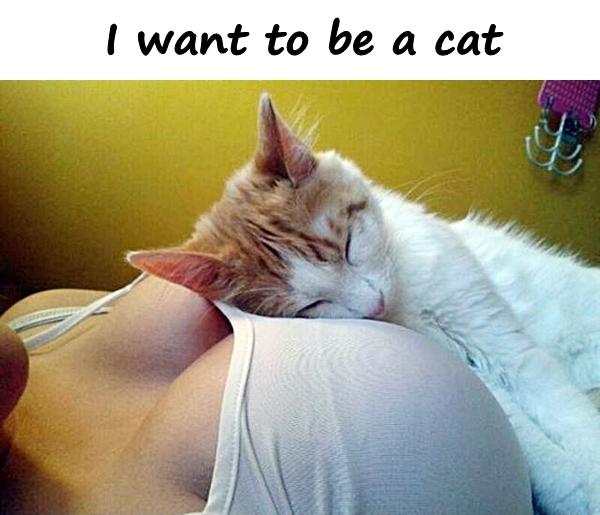 I want to be a cat