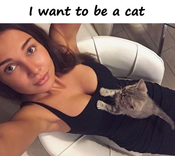 I want to be a cat