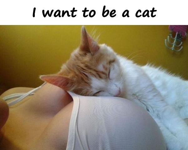 I want to be a cat