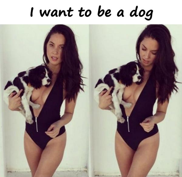 I want to be a dog