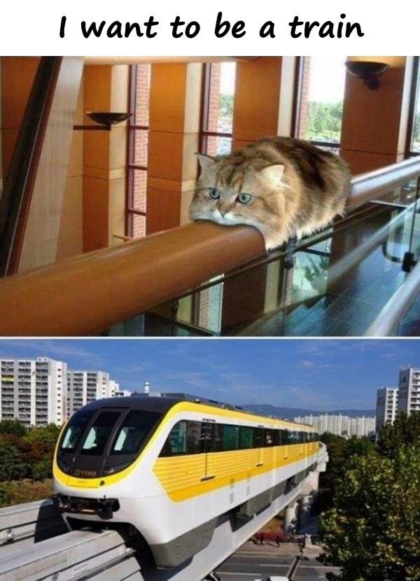 I want to be a train