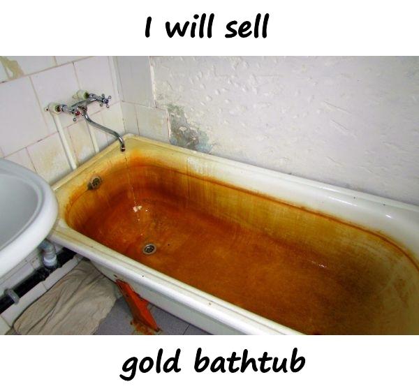 I will sell - gold bathtub