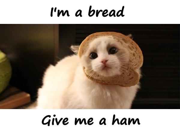 I'm a bread. Give me a ham