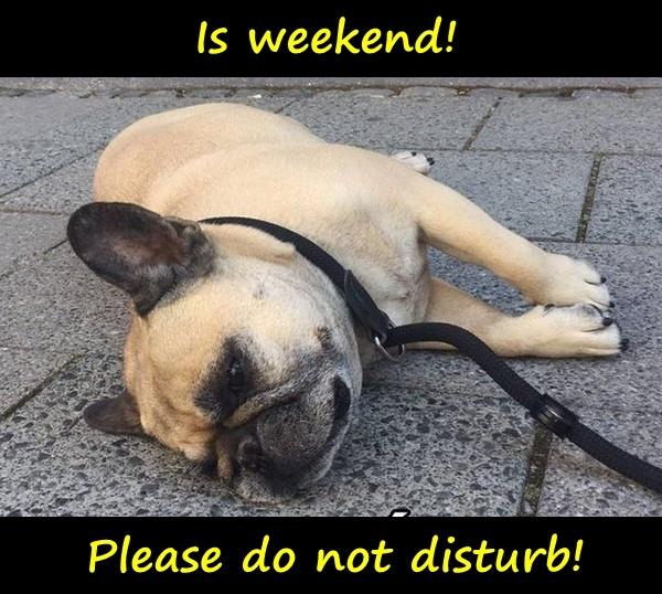 Ist Wochenende! Please do not disturb