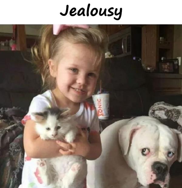 Jealousy