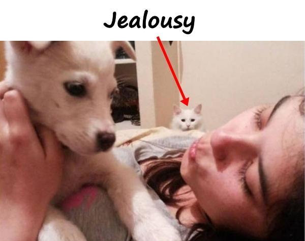 Jealousy