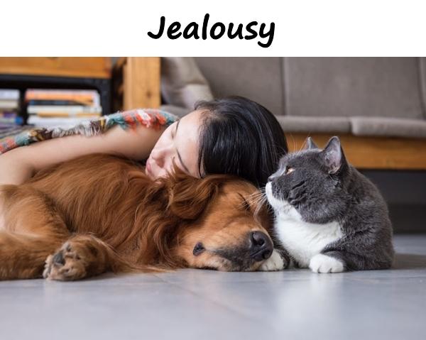 Jealousy