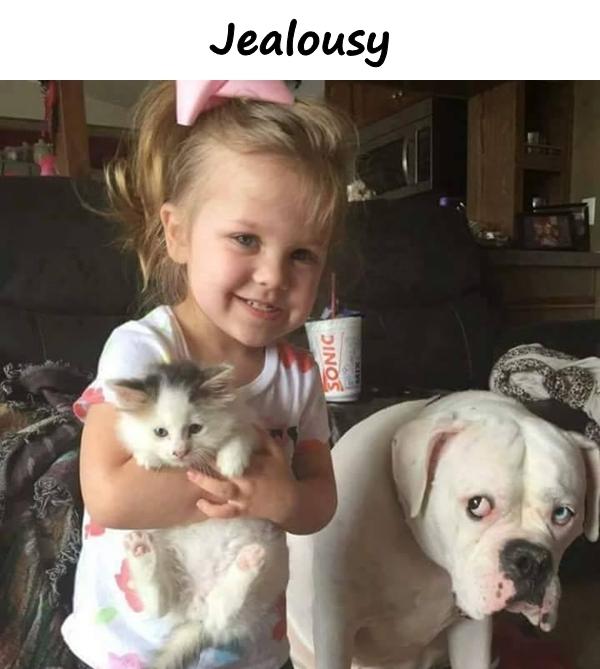 Jealousy