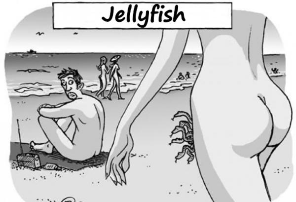 Jellyfish