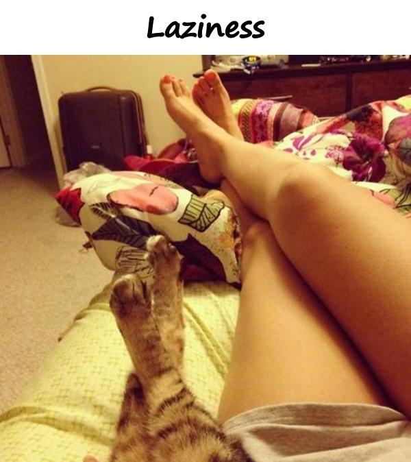 Laziness