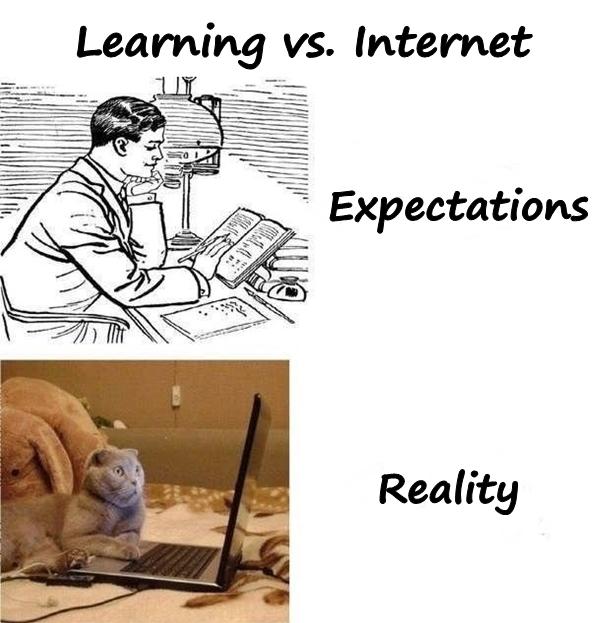 Learning vs. Internet