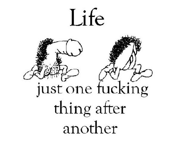 Life - just one fucking thing after another