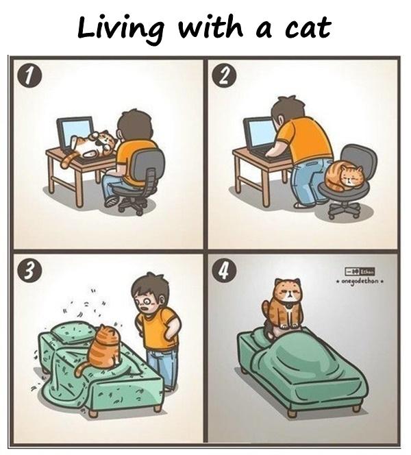 Living with a cat