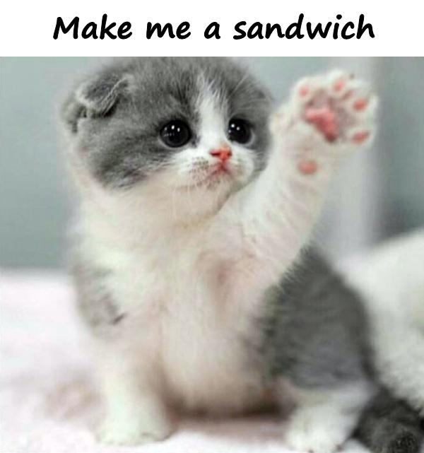 Make me a sandwich