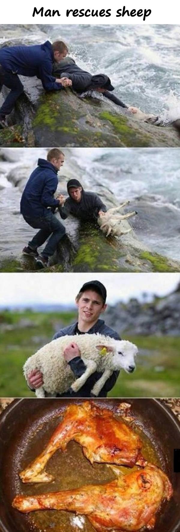 Man rescues sheep