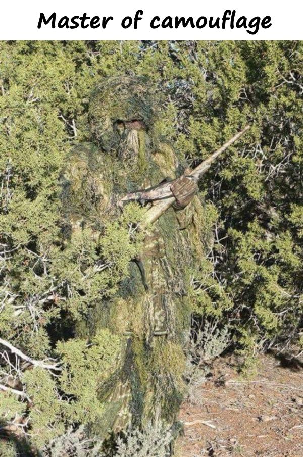 Master of camouflage