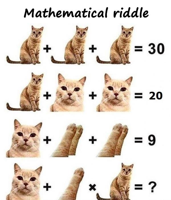 Mathematical riddle