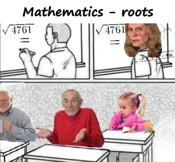 Mathematics - roots