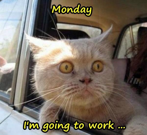 Monday - I'm going to work