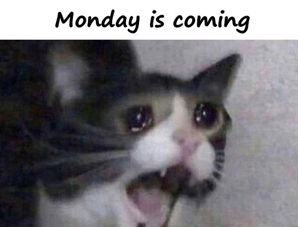 Monday is coming