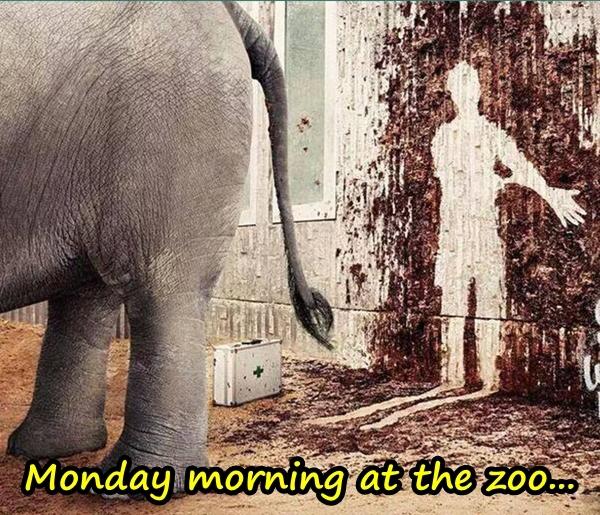 Monday morning at the zoo