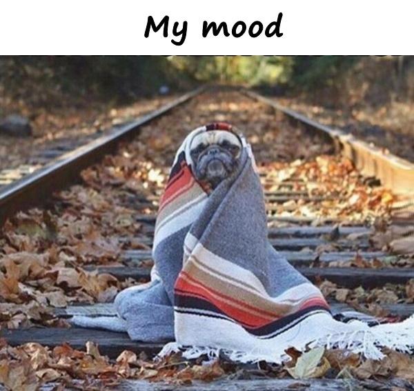 My mood