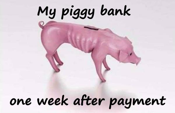 My piggy bank, one week after payment