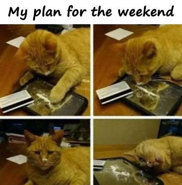 My plan for the weekend