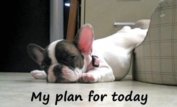 My plan for today