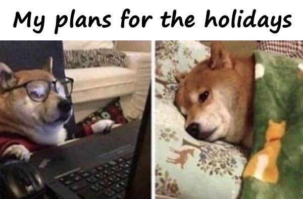 My plans for the holidays