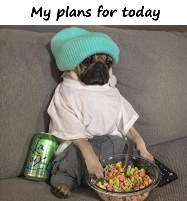 My plans for today