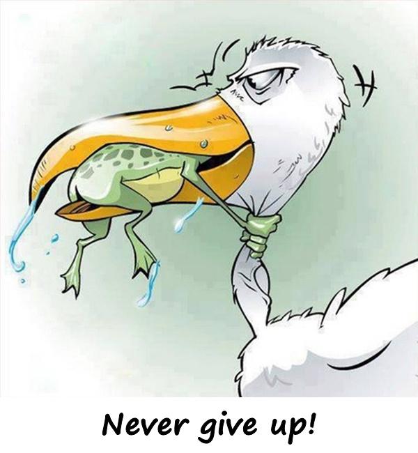 Never give up