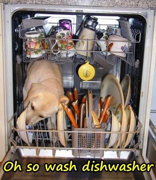 Oh so wash dishwasher