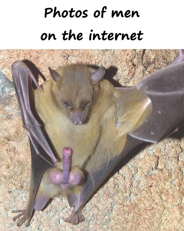 Photos of men on the internet