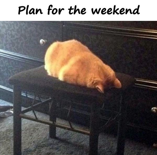 Plan for the weekend