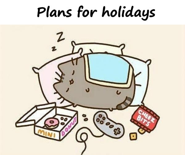 Plans for holidays