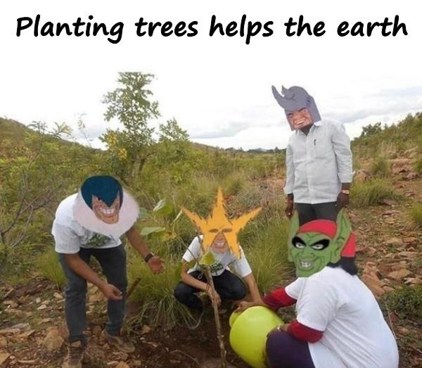 Planting trees helps the earth