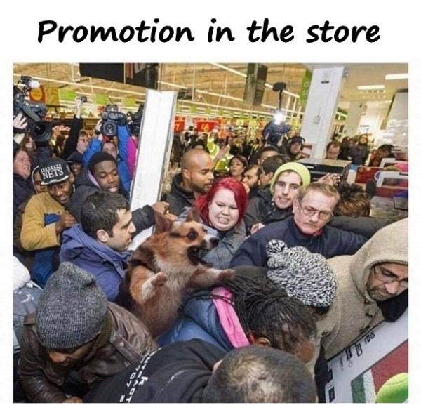 Promotion in the store