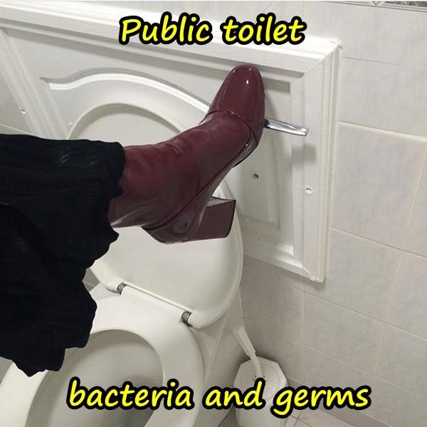 Public toilet - bacteria and germs