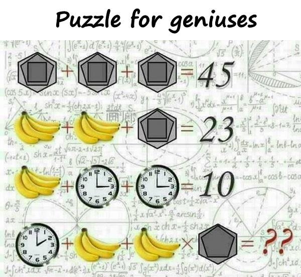 Puzzle for geniuses