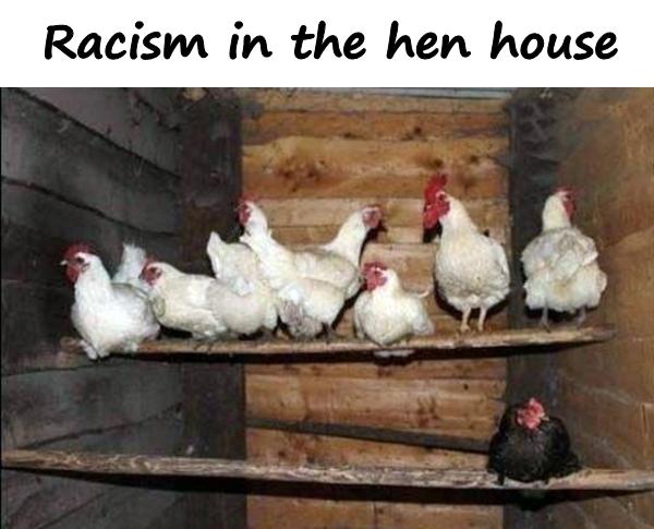 Racism in the hen house