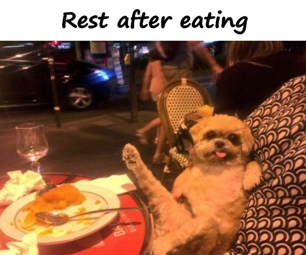 Rest after eating