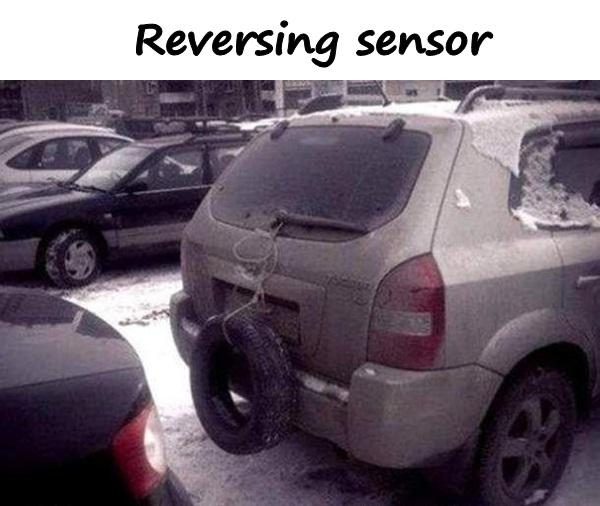 Reversing sensor