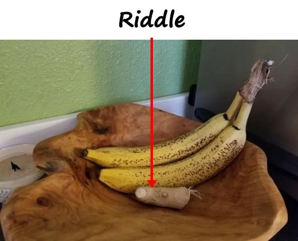 Riddle