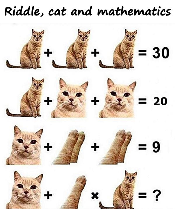 Riddle, cat and mathematics