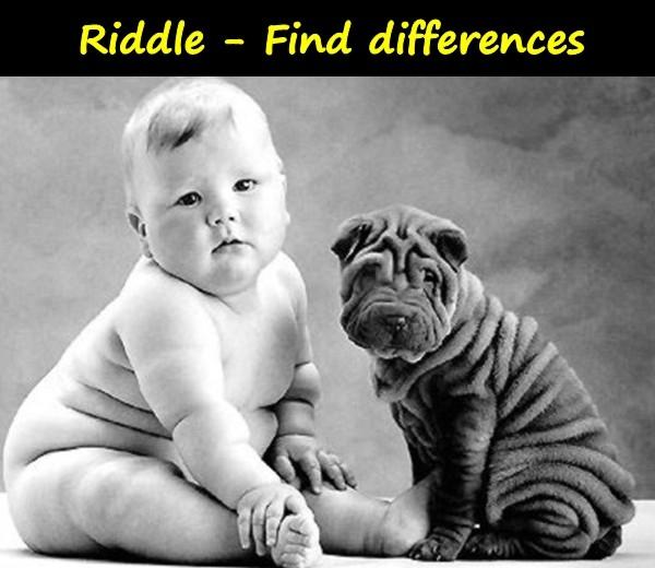 Riddle - Find differences